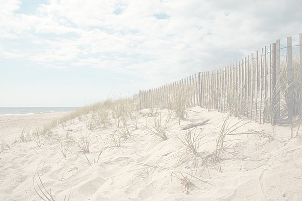 Hamptons_Beach_Faded.png